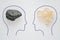 Heads of two people with sawdust brain shape and stone brain shape. Two people with different thinking. Rational and irrational