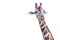 Headshot of Giraffe Isolated on White