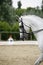 Headshot of a grey dressage sport horse in action