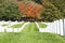 Headstone rows at Arlington National Cemetery,