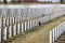 Headstones at Abraham Lincoln National Cemetery, Illinois