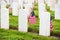 Headstones American Flags Veterans Cemetery