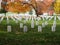 Headstones at Arlington National Cemetery