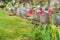 Headstones in a cemetary