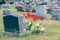 Headstones in a cemetary