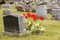 Headstones in a cemetary