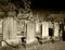 Headstones in cemetery in black and white