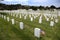 Headstones and Flags at National Cemetery