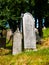 Headstones in the Jewish cemetery