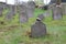 Headstones on Jewish cemetery in OlÅ¡any near JindÅ™ichuv Hradec