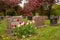 Headstones in Montreal cemetery in the Springtime