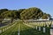 Headstones in a National Cemetery