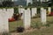 Headstones in Sai Wan War Cemetery, a Commonwealth War Graves Commission cemetery in Hong Kong