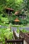 Healh resort in rainforest. Ecotourism.