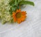 Healing herbs and calendula on linen cloth