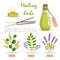 Healing Herbs in Essential Oil Promotion Poster