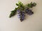 Healing herbs, flowering bugle on a wooden board