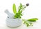 Healing herbs in mortar and pestle