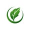 Healing Leaf Icon