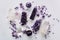 Healing purple amethyst stones on white background. Crystals for ritual