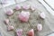 Healing Rose Quartz Crystals