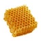 Healing wild honeycomb isolated on white background. Sweet natural and healthy delicacy. Propolis, beeswax and honey