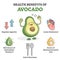 Health benefits of avocado eating as nutrient value scheme outline concept