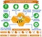 Health benefits of honey infographic vector illustration. Health care, medical concept for education, websites.