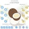 Health benefits and nutrition facts of coconut infographic vector illustration