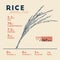 Health benefits of rice . Nutrition facts.