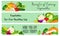 Health benefits of vegetable banner set