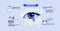 health eyes infografic template for information eyes medic