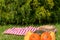 Health food. A red checked picnic blanket with a basket,and colorful pumpkins on a meadow. Beautiful backdrop for your product