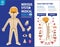 Health medical  vector infographic element design illustration