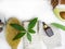 Health spa with massage serum, scrub, avocado, green aloe vera, leaf, massage acessories, towel, glove, brush on white background