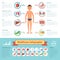 Healthcare infographic elements with human different organs set. Medicine vector illustrations