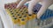 Healthcare Worker Sorting Blood Sample Tubes in Lab