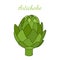 Healthy artichoke. Green vegetable. Cartoon flat style. Vector illustration