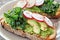 Healthy avocado toast close up with kale and radish