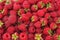 healthy background. raspberry texture. raspberries background. fruit background.