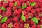 healthy background. raspberry texture. raspberries background. fruit background.