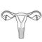 Healthy Beauty Female Reproductive System vector illustration