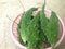 Healthy bitter gourd in pink basket