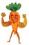 Healthy body of cute carrot vegetables clip