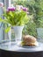 Healthy breakfast. italian bun with lettuce, cheese, ham and egg, healthy sandwich. tulips in vase in background, selective focus