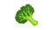 Healthy broccoli icon animation