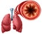 Healthy Bronchial Tube