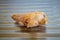 Healthy brown piece of ginger resting on a kitchen sink.