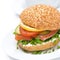 Healthy burger with cheese, salmon and vegetables