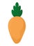 healthy carrot design